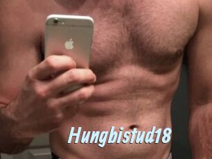 Hungbistud18