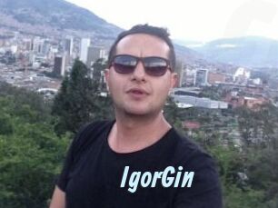 IgorGin