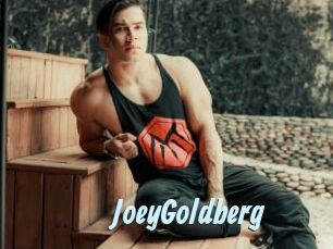 JoeyGoldberg