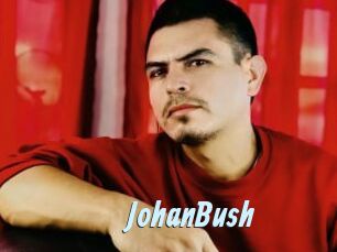 JohanBush