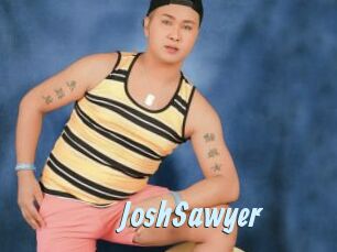 JoshSawyer