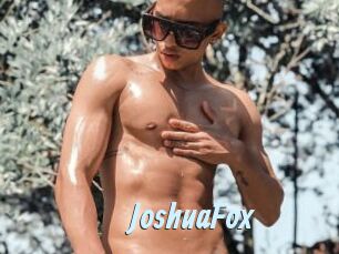 JoshuaFox