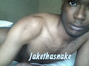 Jake_tha_snake