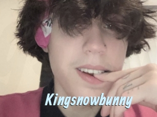 Kingsnowbunny