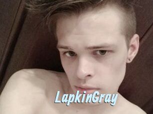 LapkinGray