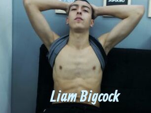 Liam_Bigcock