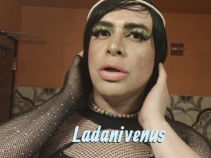 Ladanivenus