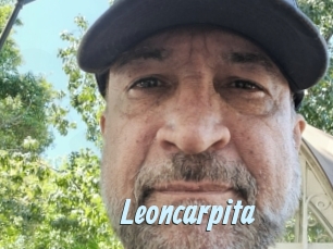 Leoncarpita