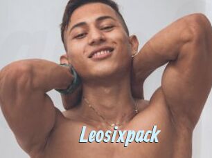 Leosixpack