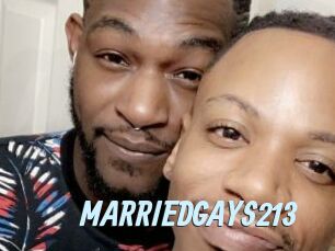 MARRIEDGAYS213