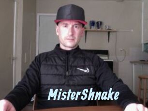 MisterShnake