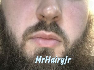 MrHairyJr