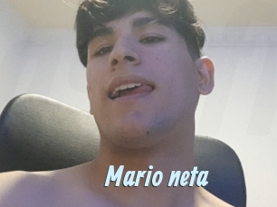 Mario_neta