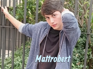 Mattrobert