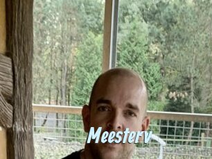 Meesterv