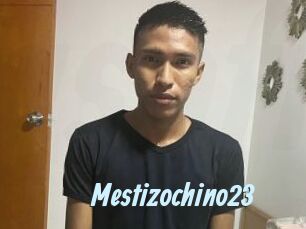 Mestizochino23