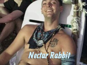 Nectar_Rabbit