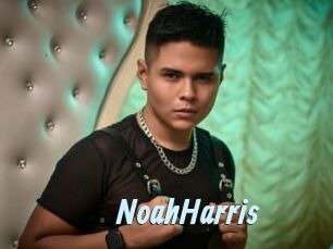 NoahHarris