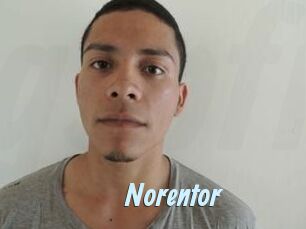 Noren_tor