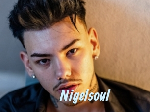 Nigelsoul