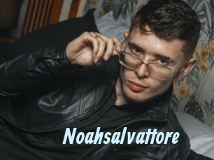 Noahsalvattore