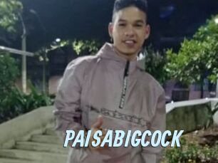 PAISABIGCOCK