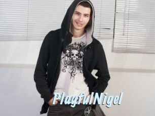 PlayfulNigel