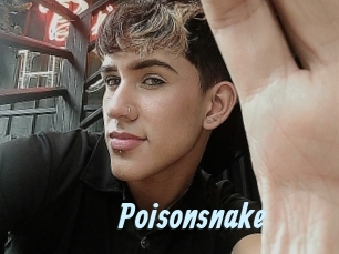 Poisonsnake