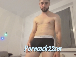 Porncock22cm