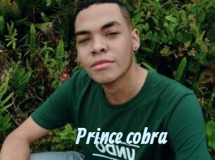 Prince_cobra