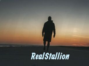 RealStallion