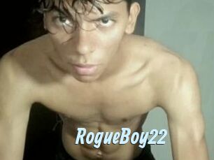 RogueBoy22