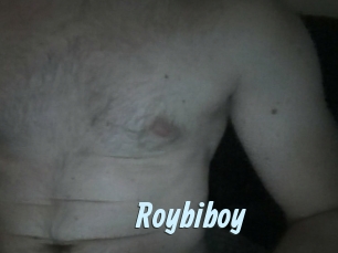 Roybiboy