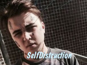 SelfDistruction