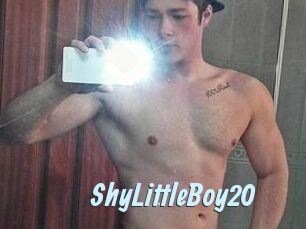 ShyLittleBoy20