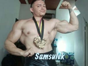 Samsulek