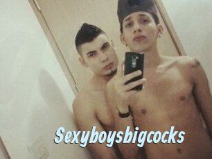 Sexyboysbigcocks