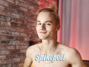 Spikepoel