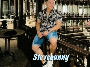 Stevebunny