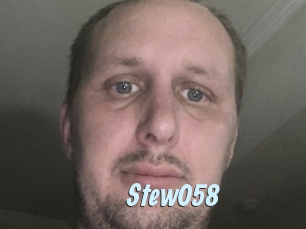 Stew058