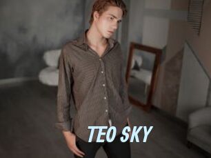 TEO_SKY