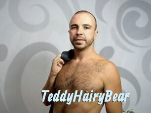 TeddyHairyBear