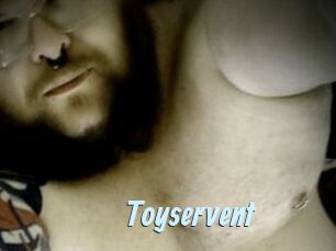 Toyservent