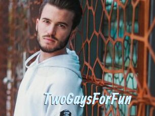 TwoGaysForFun