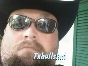 Txbullstud