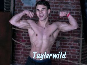 Taylerwild