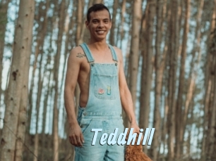 Teddhill