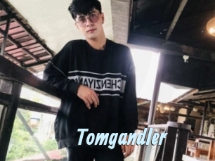 Tomgandler