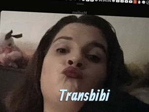 Transbibi