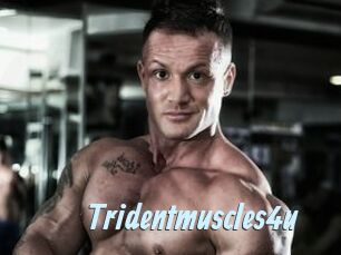 Tridentmuscles4u